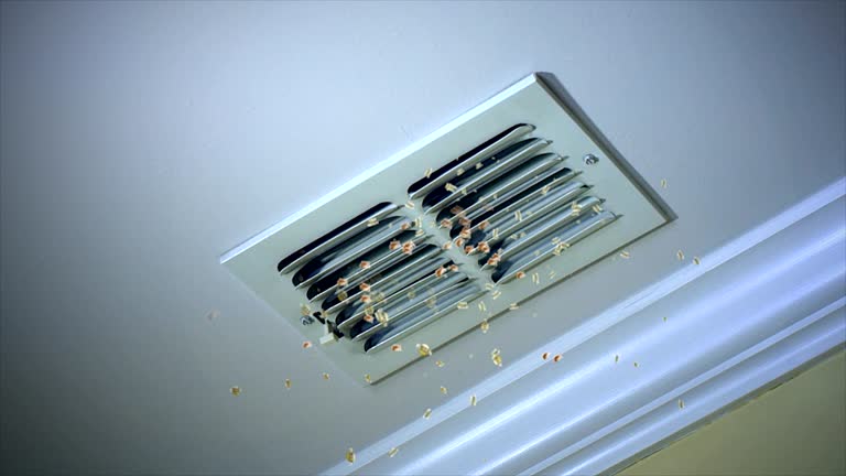 Best Air Duct Cleaning Company Near Me  in Hwatha, IA