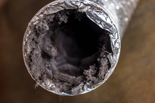 Best HVAC Duct Inspection Services  in Hwatha, IA
